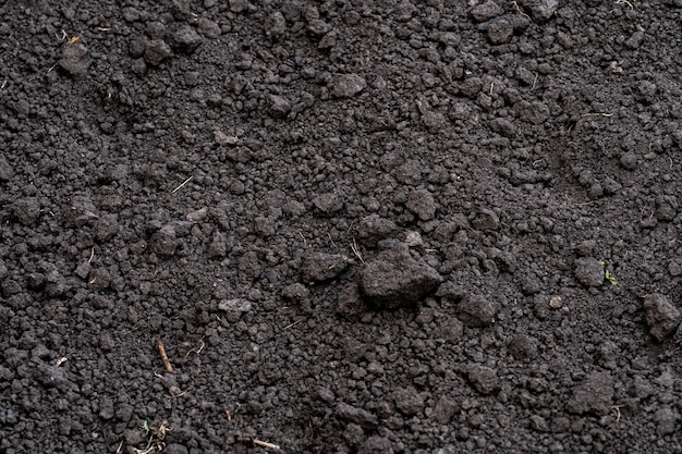 Фото Почвенный фон. копаем землю. чернозем. земля для посадки растений