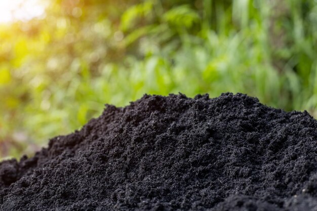 Photo soil and black husks to prepare for planting