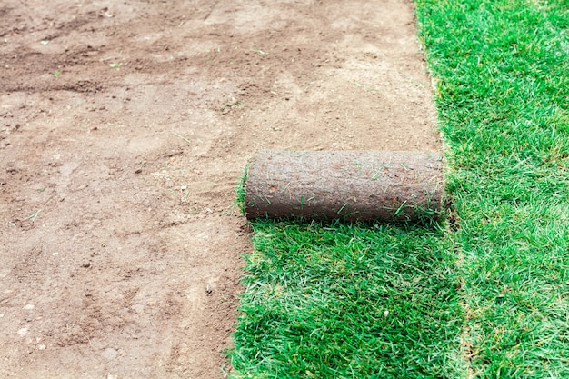 Soil coating with green rolls of a lawn