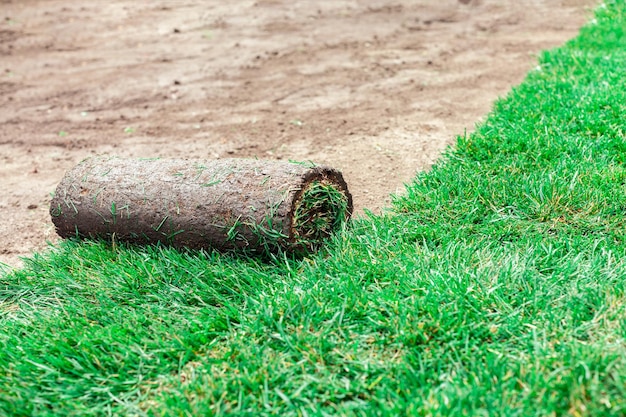 Photo soil coating with green rolls of a lawn