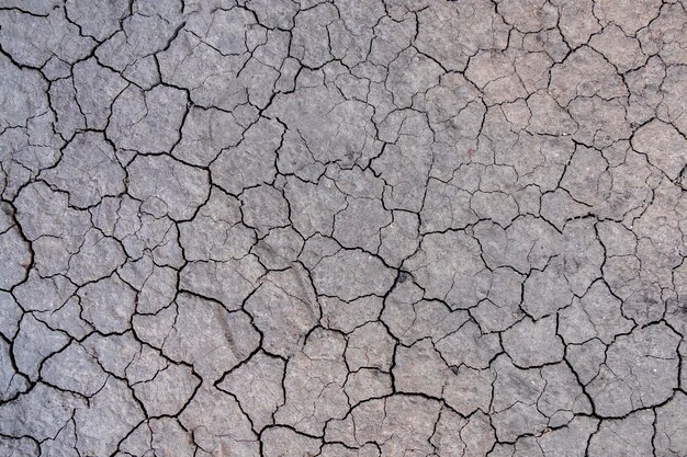 Fondo screpolato del suolo terreno nella stagione secca