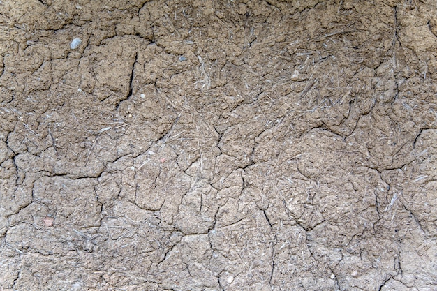 Soil cracks