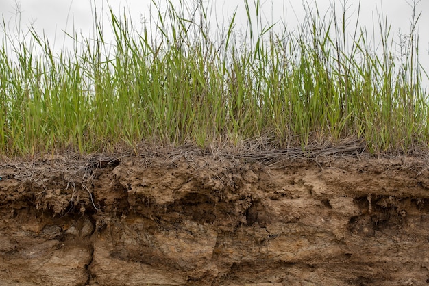 Terreno tagliato a causa di frana. taglio naturale del terreno con diversi strati