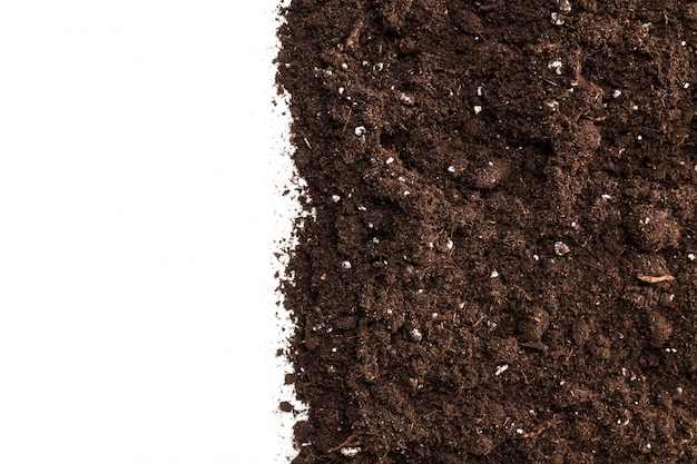 Soil or dirt section isolated on white background