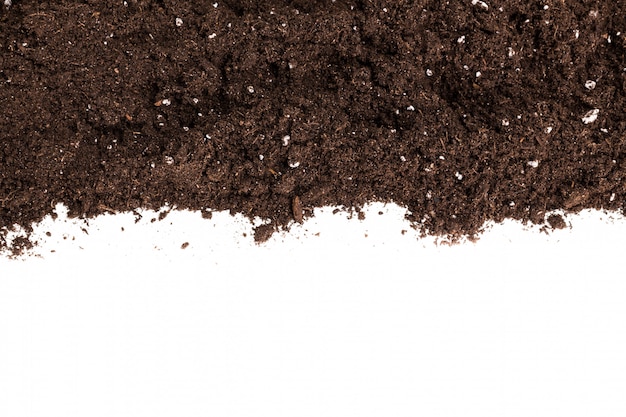 Soil or dirt section isolated