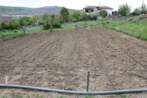 soil farming with irrigation system