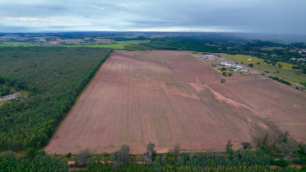 Soil from a plantation farm in So Paulo, Brazil. Starting the plantation