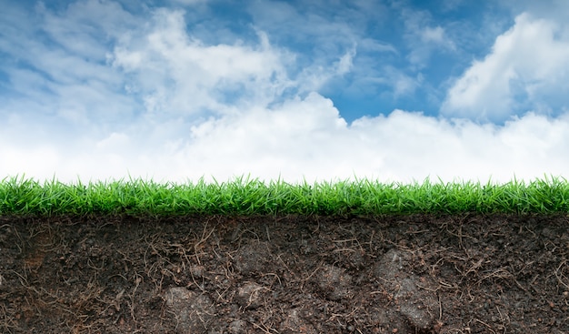 Photo soil and grass in blue sky