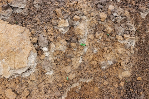 Soil on the ground as texture and background