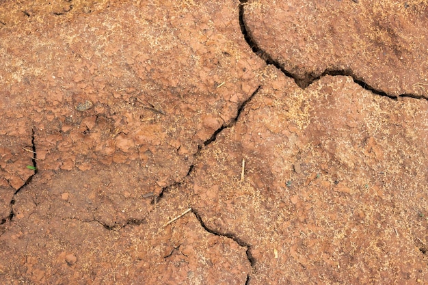 Soil on the ground as texture and background