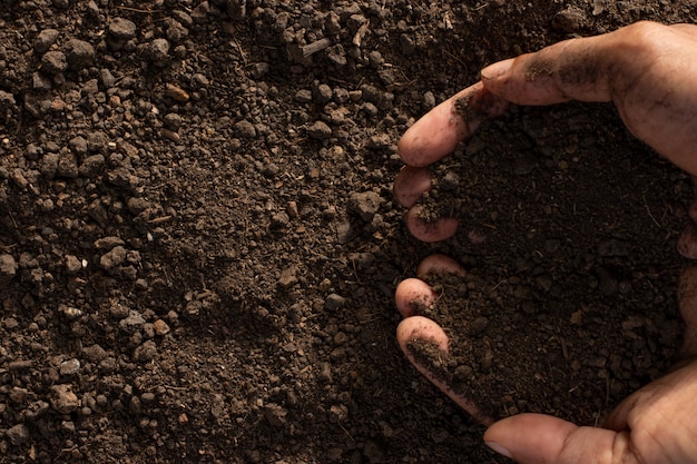 Soil for growing plants, Smooth fertile soil.