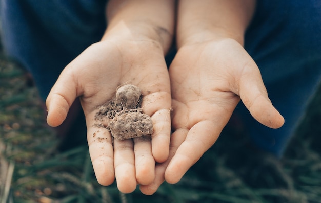 Soil in hand, palm, cultivated dirt, earth, ground, Organic gardening, agriculture. Nature closeup. Environmental texture, pattern. Mud on field.