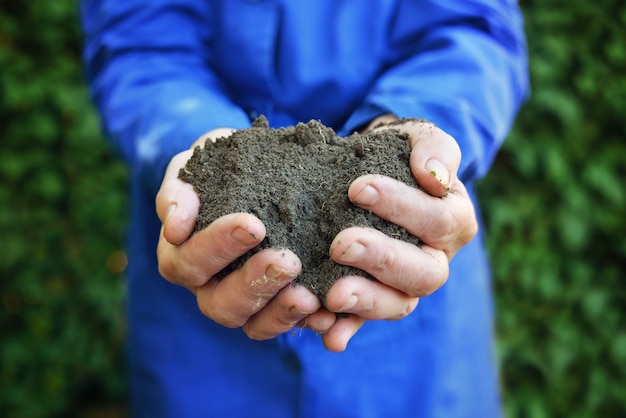 Soil in hands of agricultural worker