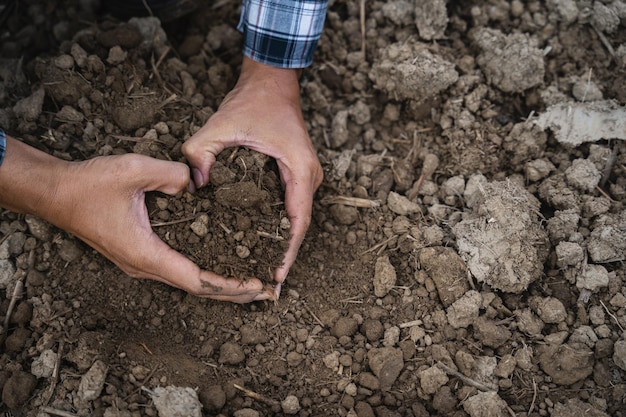 Soil in the hands of farmers Concept of agriculture