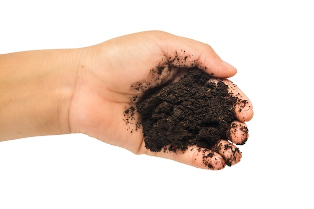 soil in hands on white background