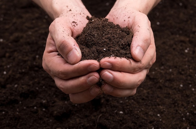 Photo soil in hands