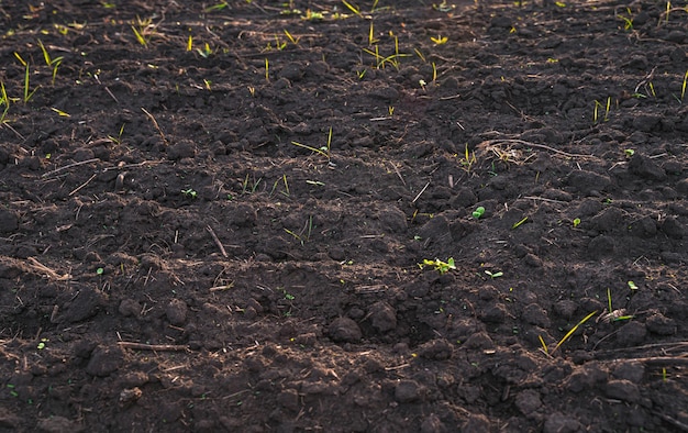 The soil is ready for cultivation in rural fields. Untreated soil. The concept of agriculture.