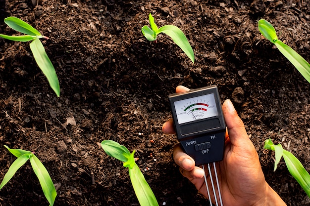 Photo soil meter is used on loam for planting, measure soil acidity.