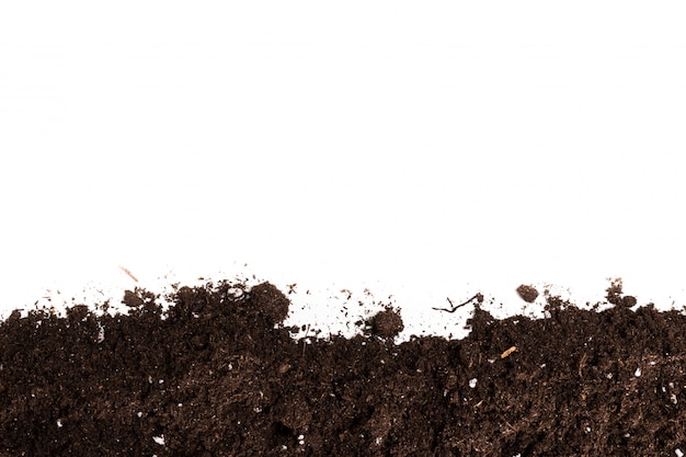 사진 흰색 표면에 고립 된 토양 또는 먼지 섹션