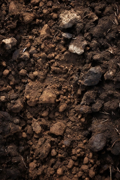 Фото Близкий взгляд на текстуру почвы или почвы