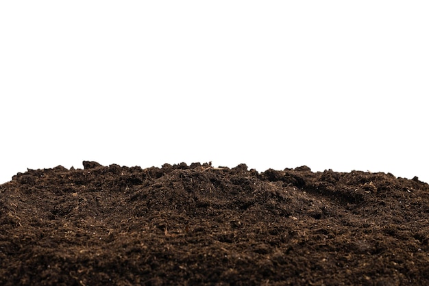 Soil for plant isolated on white background. Soil pattern.