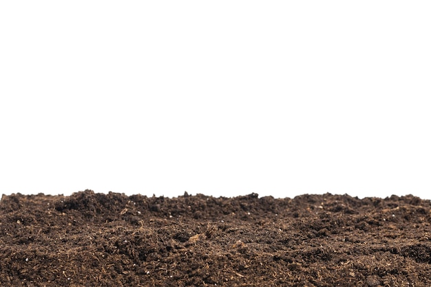 Soil for plant isolated on white background. Soil pattern.