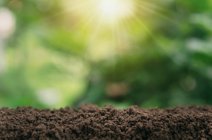 Photo soil for planting with green blur and sunlight background