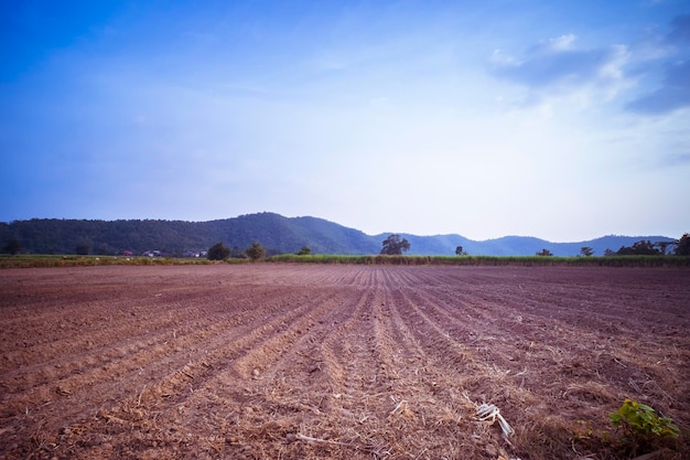 Preparazione del terreno terreno agricolo