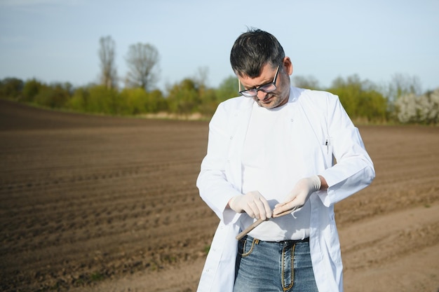 Soil Sampling Agronomist taking sample with soil probe sampler Environmental protection organic soil certification research