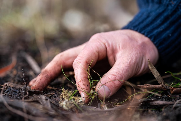 토양 과학자, 농학자, 농부, 봄에 에서 토양 플과 풀을보고 식물의 성장과 토양 건강을보고 x9