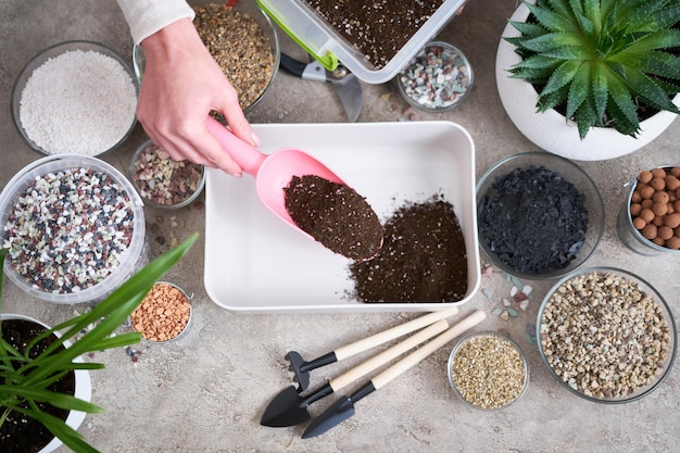Photo soil substrate preparation for transplanting houseplants on concrete background