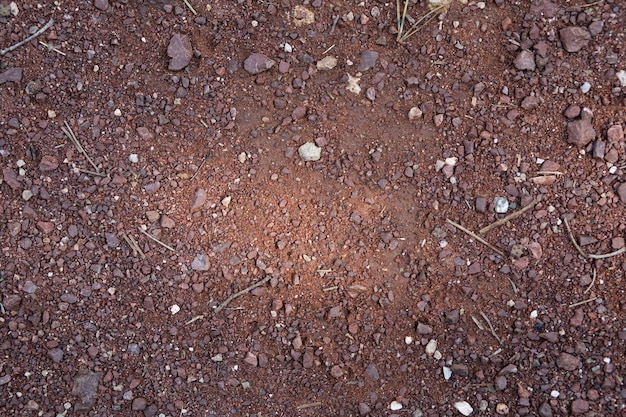 Soil surface in the nature