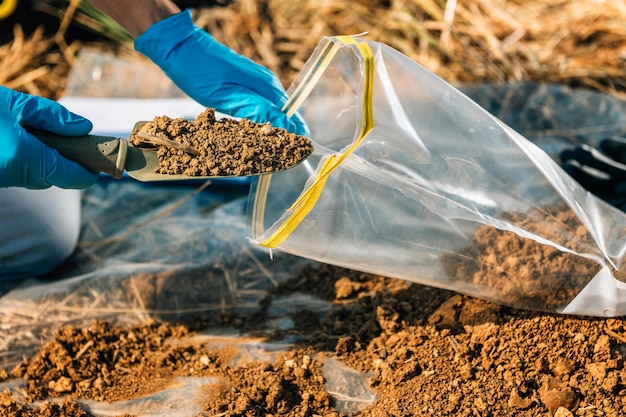Фото Агрономический инспектор, исследующий почву, берущий образцы почвы