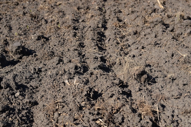 Soil texture background Loamy soil plowed agricultural field arable land dry land closeup