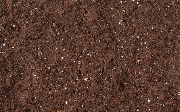 Photo soil texture detail for gardening top view for design fertility soil on earth