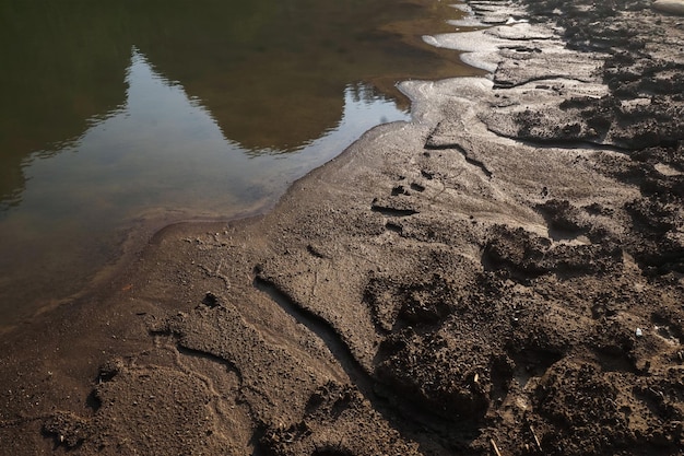 Photo soil texture on the edge of the lake