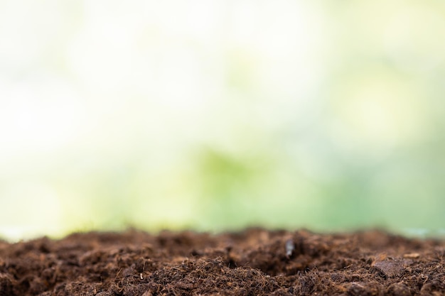 Photo soil texture with green background