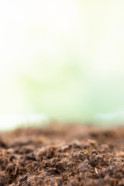 Photo soil texture with green background