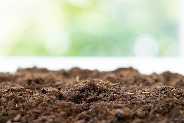 soil texture with green background