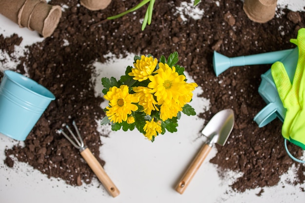 soil, watering can, flower pot, shovel, rake