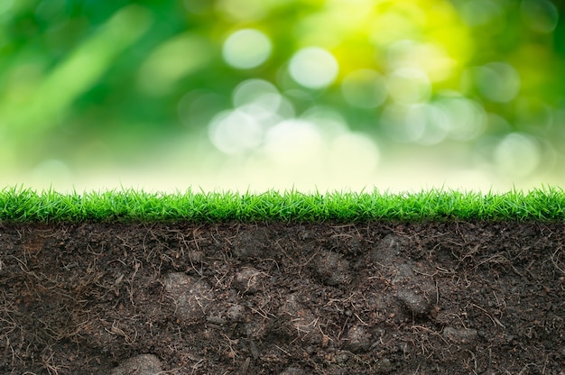 Soil with green grass and green blurred background