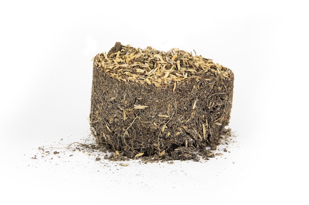 soil with root on white isolated background