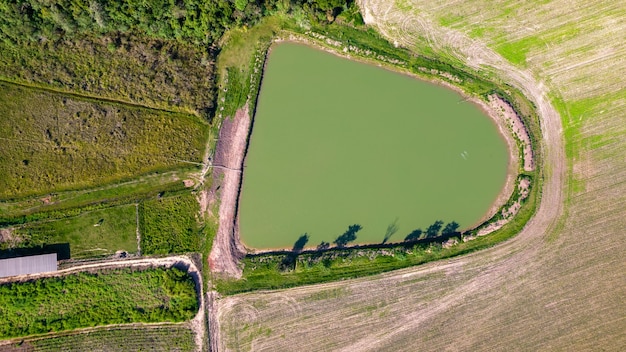 sojabonenplantage in Brazilië. Groen veld met geteelde sojabonen. Luchtfoto