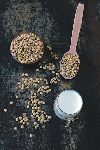 Sojamelk en sojabonen. veganistische melk