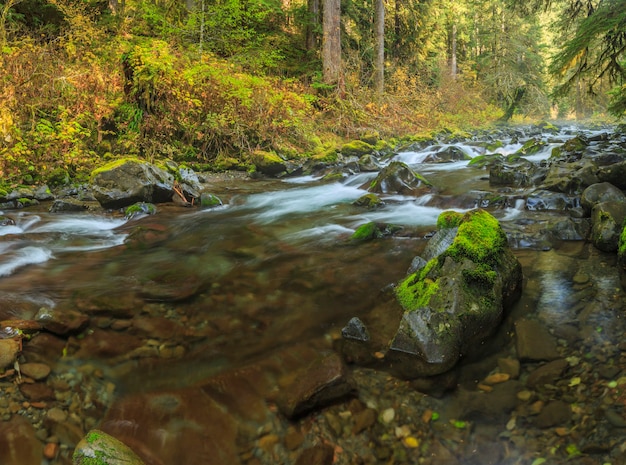 Photo sol duc falls in olympic national parks usa