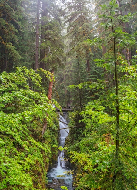 Sol Duc  Olympic National Park USA