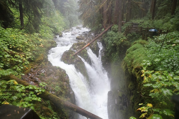 Sol Duc Water valt in Olympisch nationaal park Washington