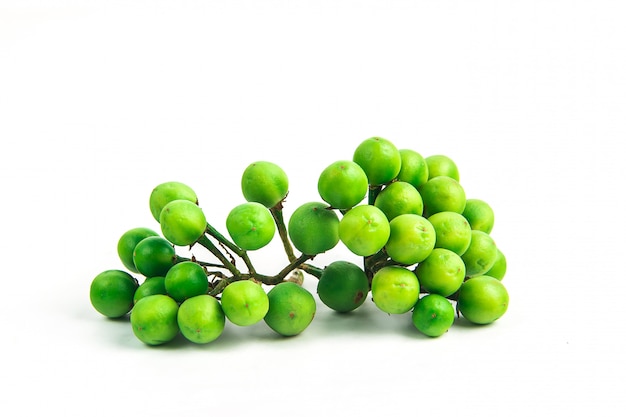 Solanum torvum,Turkey berry  on white background