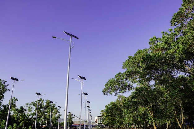 Solar cell lighting bulb on the road