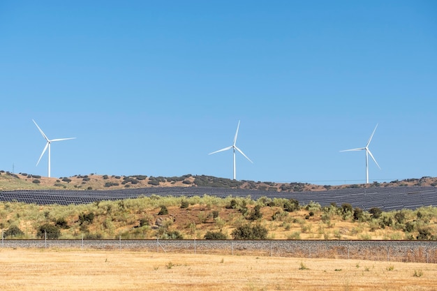 Solar energy panel photovoltaic cell and wind turbine farm power generator in nature landscape